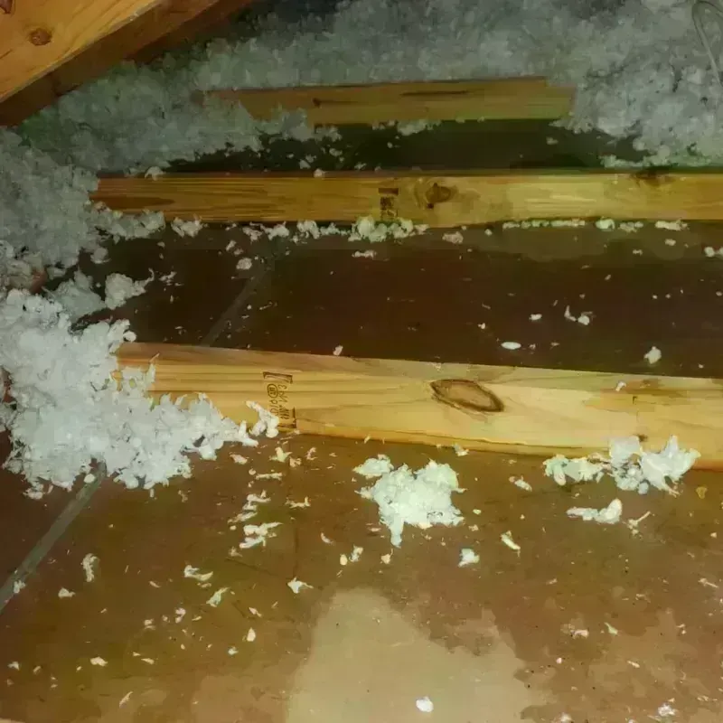 Attic Water Damage in Rensselaer, IN